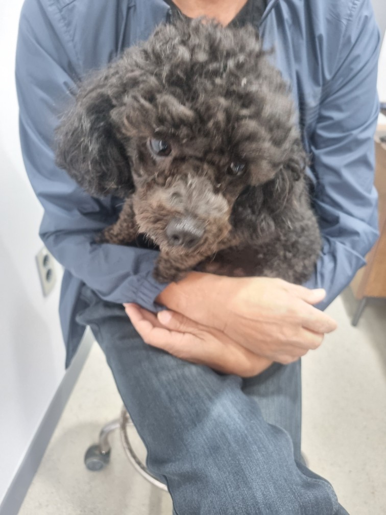 군위종합동물병원_427514202400642