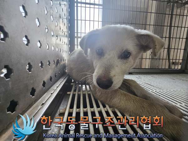 한국동물구조관리협회_441414202400824