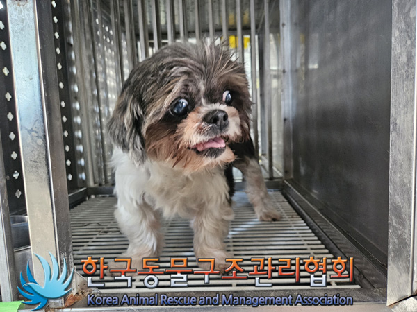 한국동물구조관리협회_441560202401347