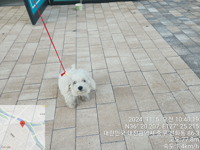 대전동물보호센터_430365202400567