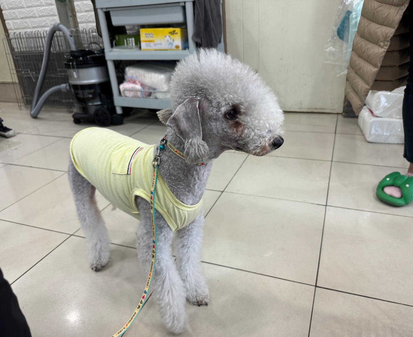 가정동물병원_428356202401958