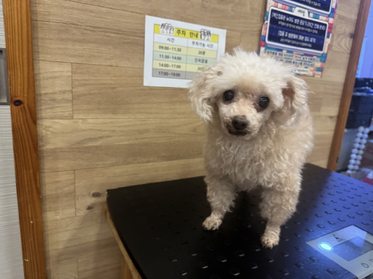 프렌즈동물병원_445464202403436