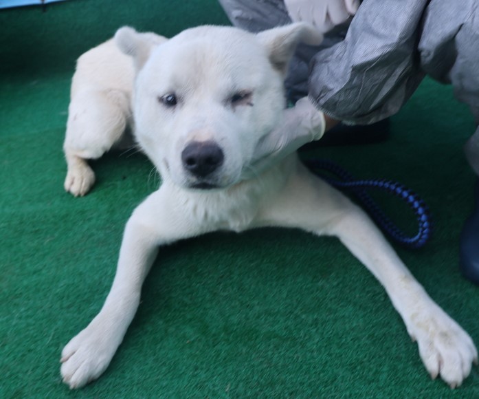 제주 동물보호센터_450650202403309