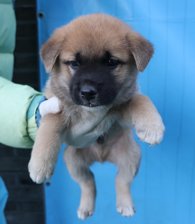 제주 동물보호센터_450650202403304