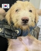 인천광역시수의사회_428353202401191