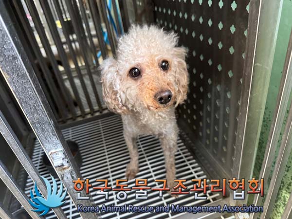 한국동물구조관리협회_441409202401711