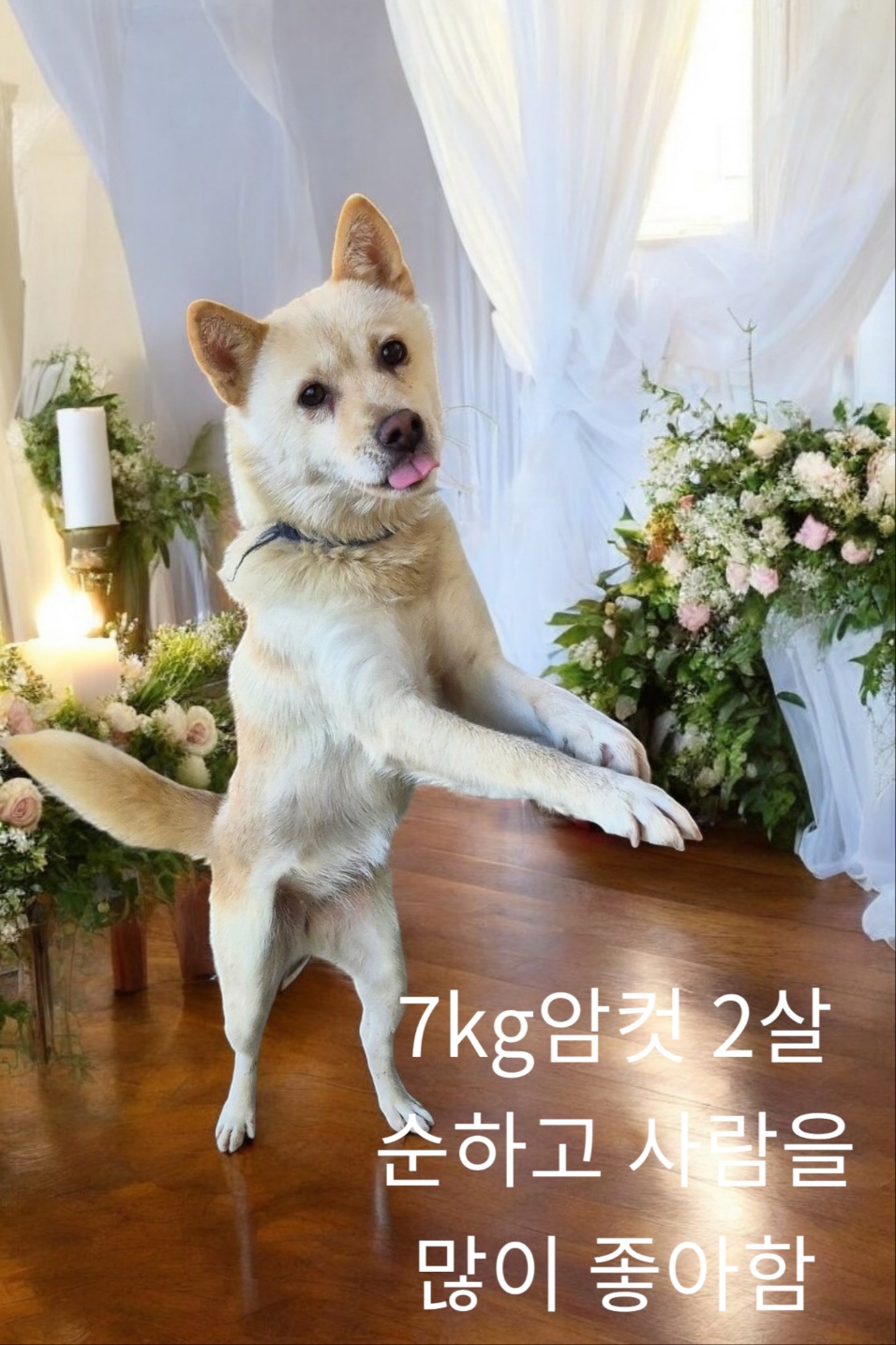 성주유기동물보호센터_447521202400531