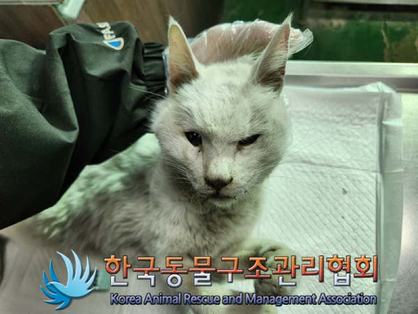 한국동물구조관리협회_441560202401349