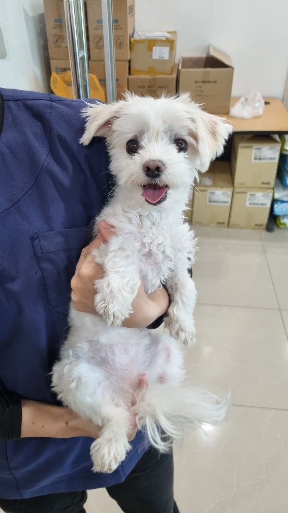 반려동물보호센터_443571202403172