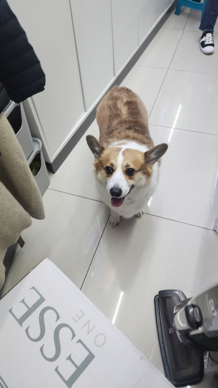 익산유기동물보호소_445468202402954