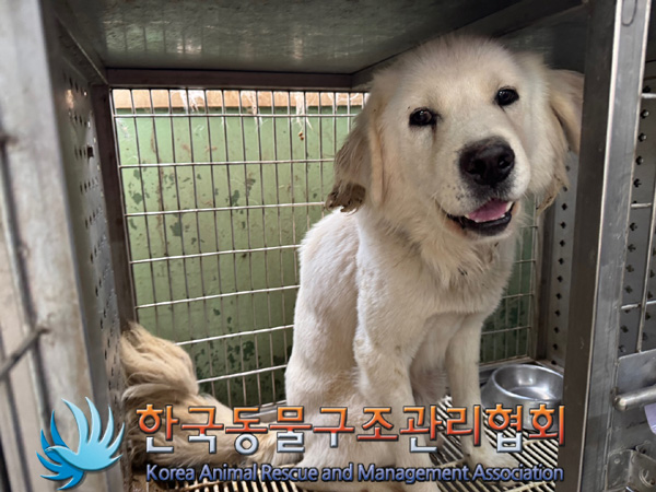 한국동물구조관리협회_441560202401352