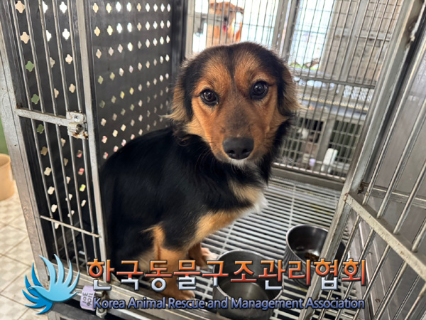 한국동물구조관리협회_441560202401350