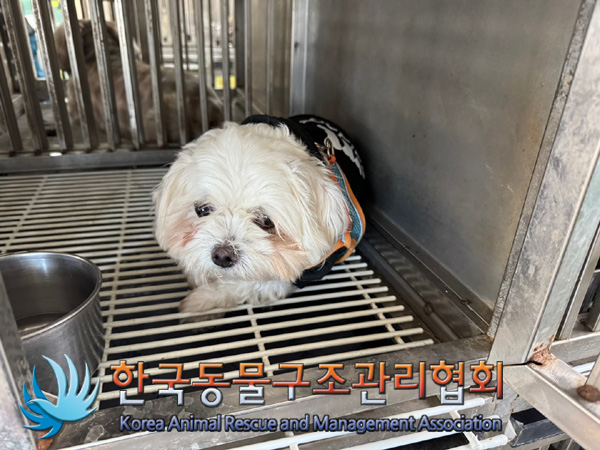 한국동물구조관리협회_441409202401713