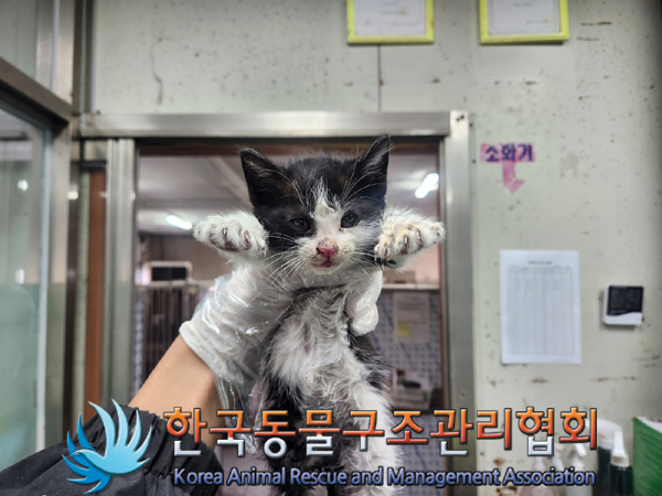 한국동물구조관리협회_411307202400621