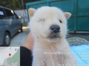 대전동물보호센터_430367202400836