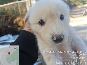 대전동물보호센터_430367202400837