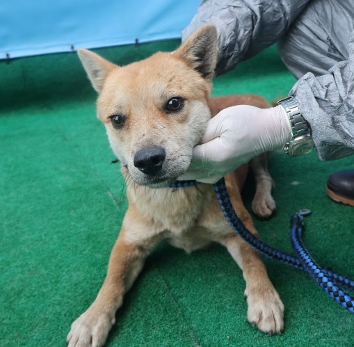 제주 동물보호센터_450650202403333