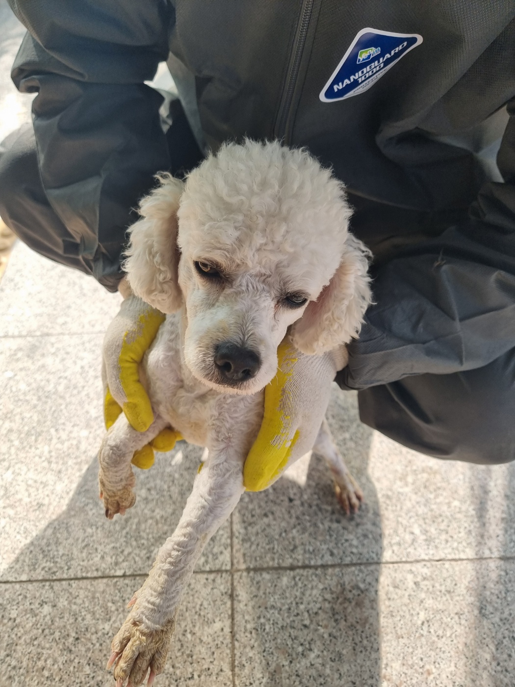 구미시 동물보호센터_447508202401153