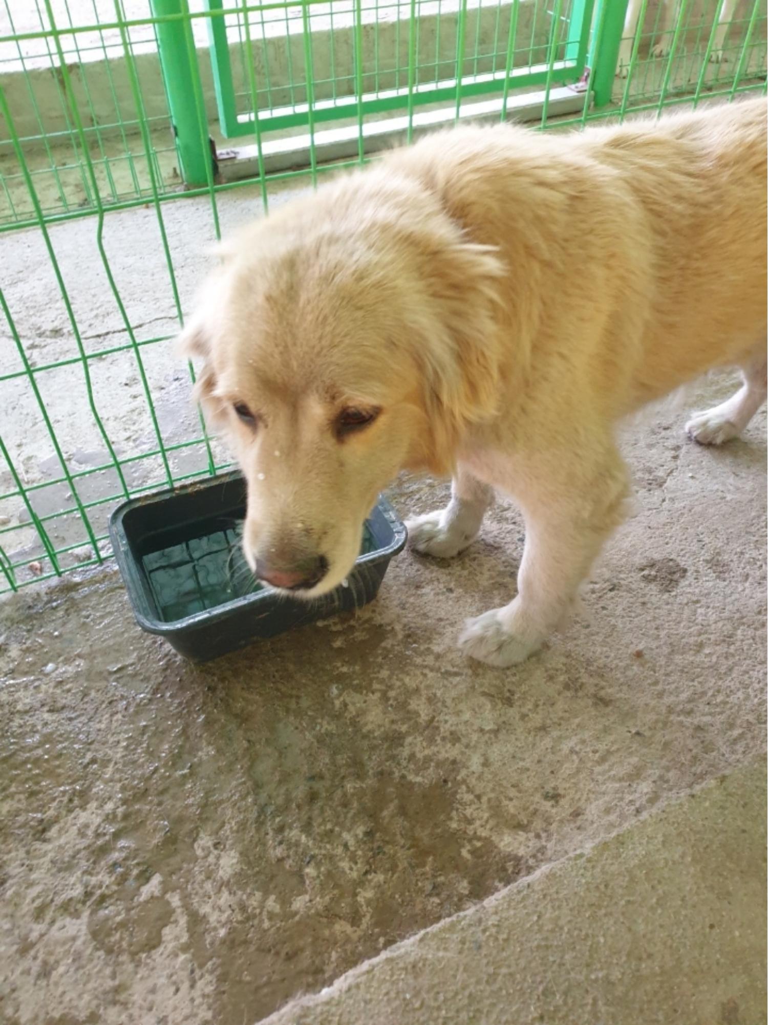 장성군동물보호센터_446498202400351