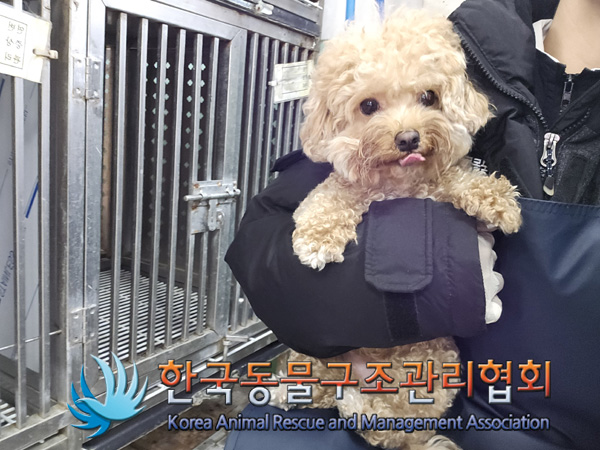 한국동물구조관리협회_411307202400631