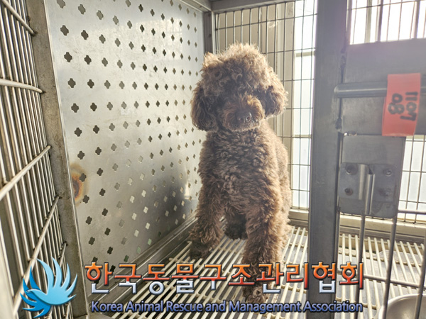 한국동물구조관리협회_441392202400275