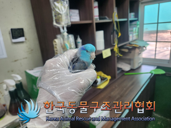 한국동물구조관리협회_411323202401073