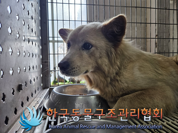 한국동물구조관리협회_441406202401961