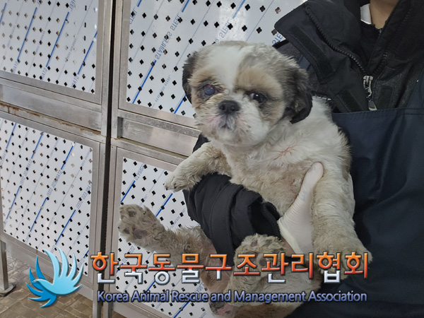 한국동물구조관리협회_441560202401353