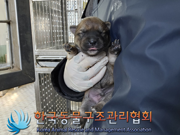 한국동물구조관리협회_441406202401966