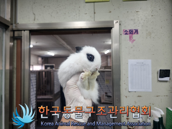 한국동물구조관리협회_411305202400759