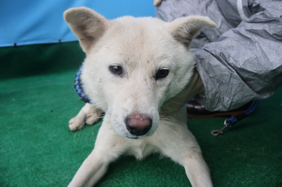 제주 동물보호센터_450650202403346