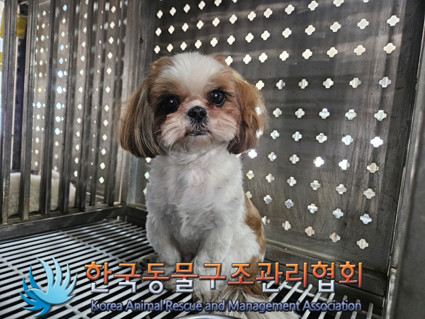 한국동물구조관리협회_411316202400828