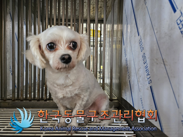 한국동물구조관리협회_411310202400667