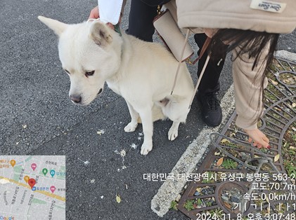 대전동물보호센터_430367202400854