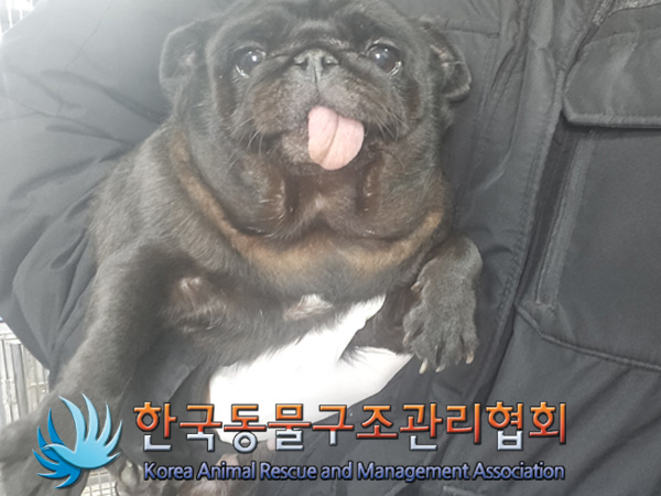 한국동물구조관리협회_411316202400832