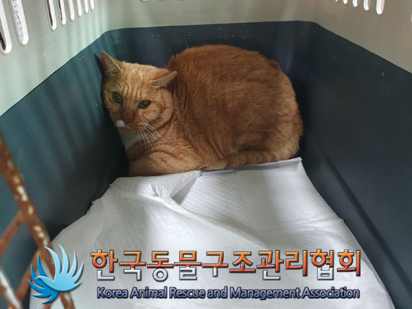 한국동물구조관리협회_411316202400834