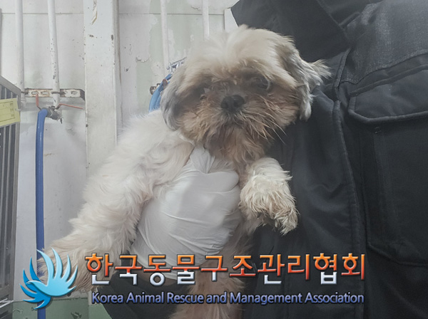 한국동물구조관리협회_411316202400831