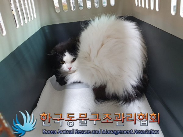 한국동물구조관리협회_411316202400835