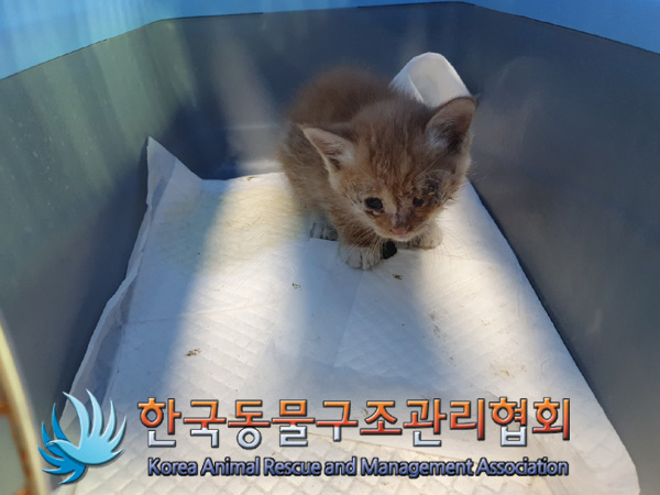 한국동물구조관리협회_411304202400639