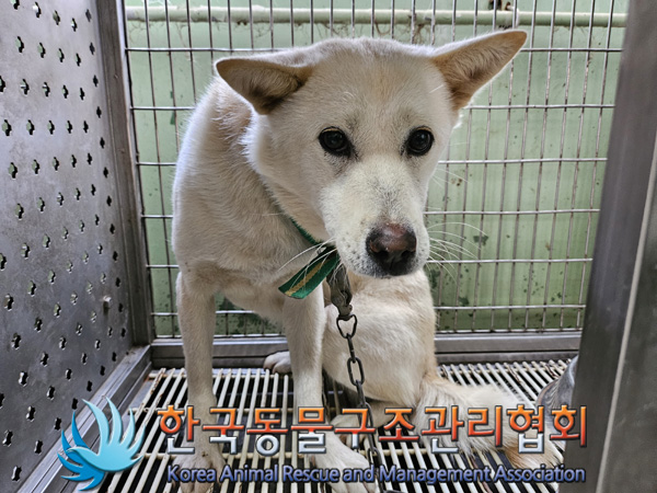 한국동물구조관리협회_441414202400890