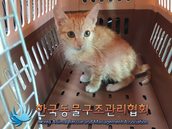 한국동물구조관리협회_441560202401354