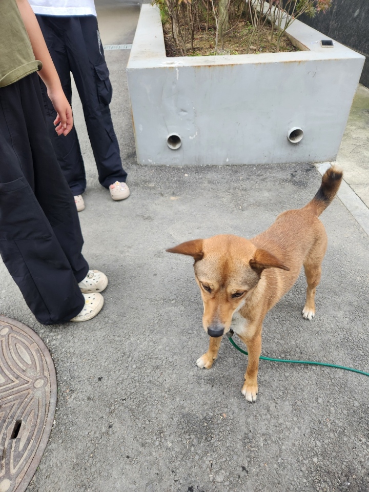 장성군동물보호센터_446498202400352