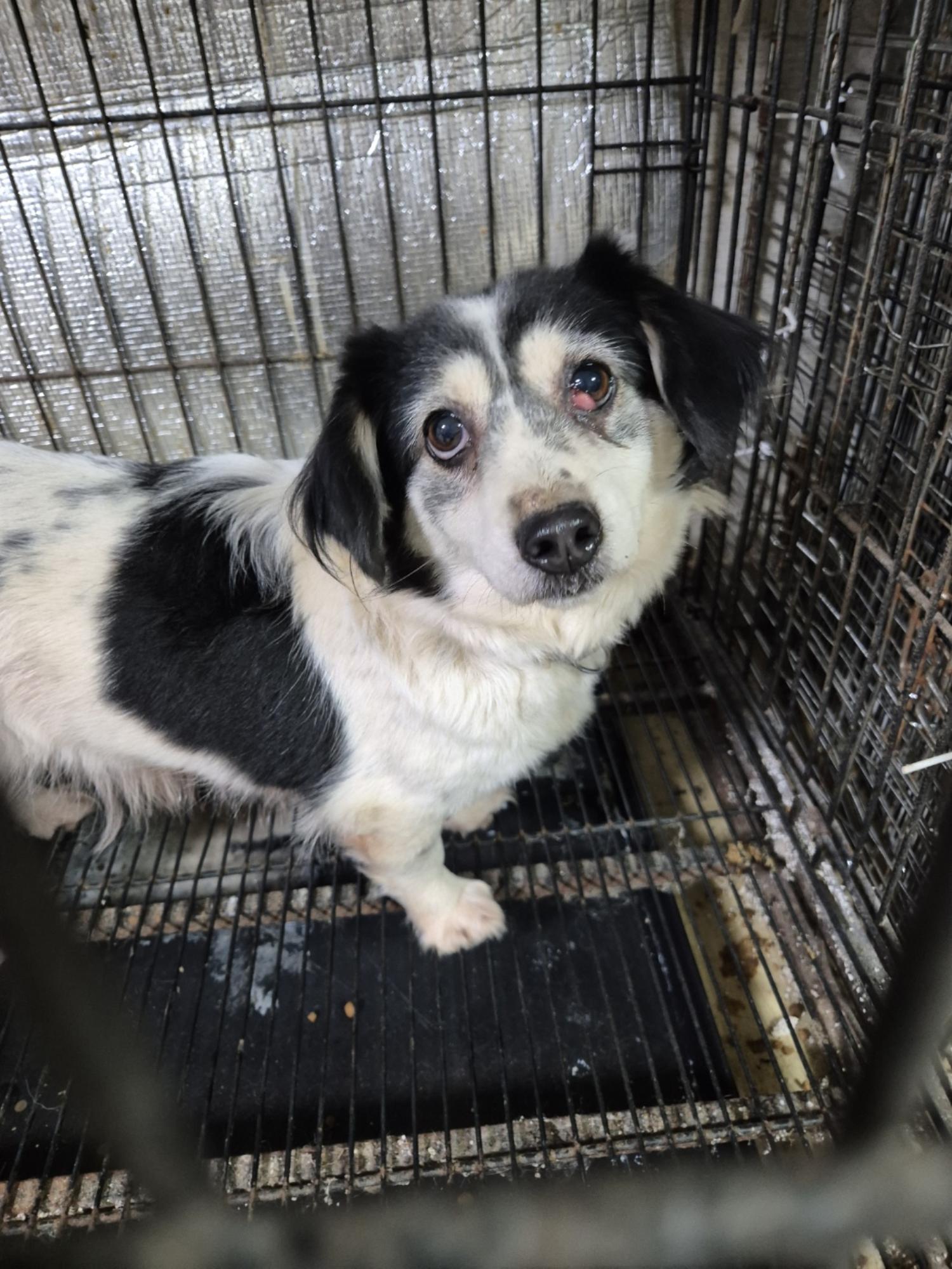 우리동물병원_428356202401969