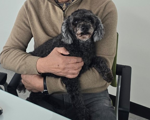 창원유기동물보호소_448567202401273