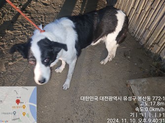 대전동물보호센터_430367202400859