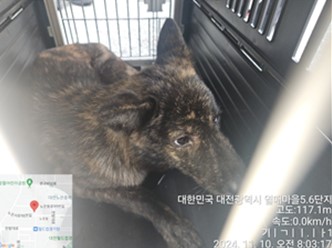 대전동물보호센터_430367202400857