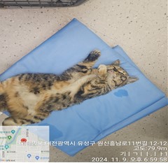 대전동물보호센터_430367202400856