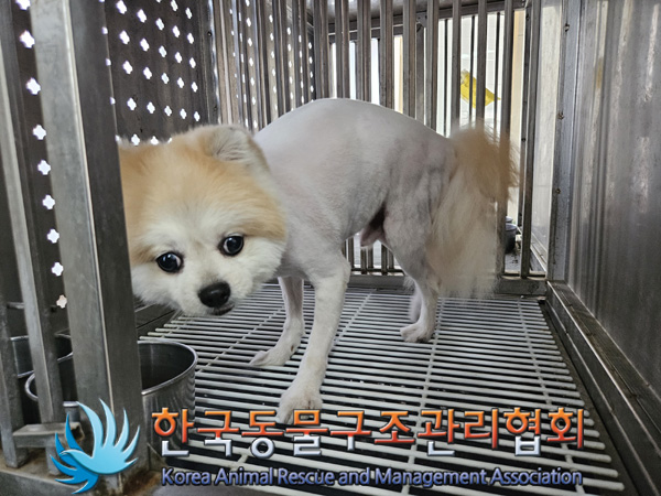 한국동물구조관리협회_411310202400670