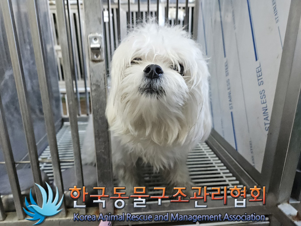 한국동물구조관리협회_411318202400495
