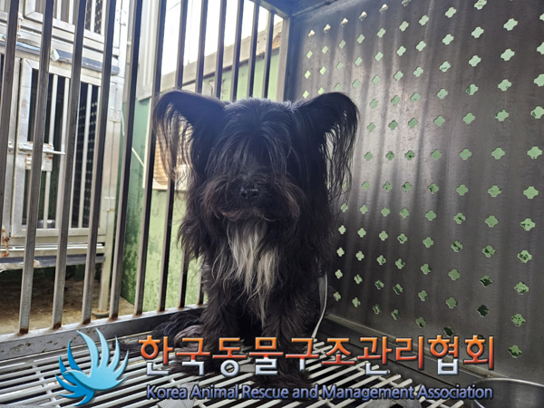 한국동물구조관리협회_411301202400414
